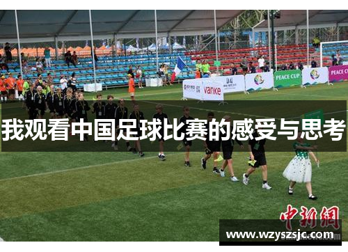 我观看中国足球比赛的感受与思考